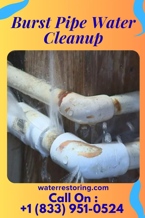 Burst Pipe Water Cleanup in Swanton, OH
