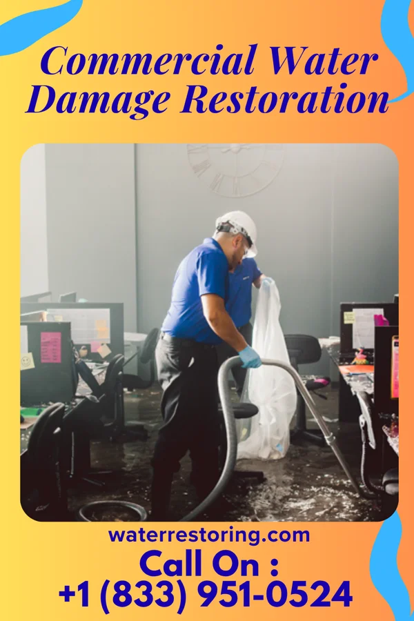 Commercial Water Damage Restoration in Swanton, OH
