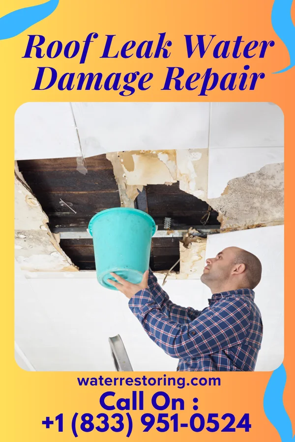 Roof Leak Water Damage Repair in Swanton, OH